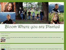 Tablet Screenshot of bloomfieldfamily.blogspot.com
