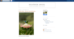 Desktop Screenshot of heatherangelphotos.blogspot.com