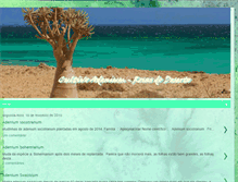 Tablet Screenshot of cultivoadenium.blogspot.com