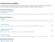 Tablet Screenshot of calochortus.blogspot.com