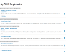 Tablet Screenshot of mywildraspberries.blogspot.com
