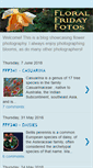 Mobile Screenshot of floralfridayfoto.blogspot.com