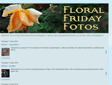 Tablet Screenshot of floralfridayfoto.blogspot.com