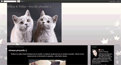Desktop Screenshot of dwa-brytki.blogspot.com