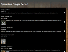 Tablet Screenshot of gingerferret.blogspot.com