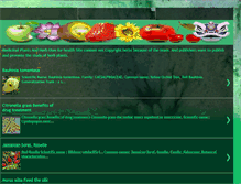 Tablet Screenshot of flowersherb.blogspot.com