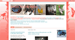 Desktop Screenshot of hartini-hartinibirdbettas.blogspot.com