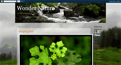 Desktop Screenshot of naturewonderer.blogspot.com