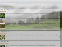 Tablet Screenshot of naturewonderer.blogspot.com