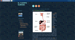 Desktop Screenshot of cuerpohumanoteoria.blogspot.com