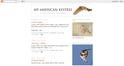 Desktop Screenshot of myamericankestrel.blogspot.com