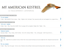 Tablet Screenshot of myamericankestrel.blogspot.com