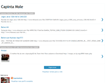 Tablet Screenshot of capintamole.blogspot.com