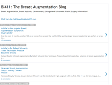 Tablet Screenshot of bi411.blogspot.com