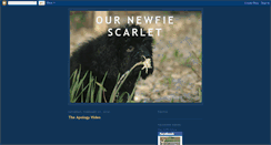 Desktop Screenshot of newfiescarlet.blogspot.com