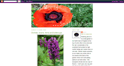 Desktop Screenshot of bigworldsmallgarden.blogspot.com