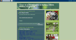 Desktop Screenshot of fitoterapia-pe.blogspot.com