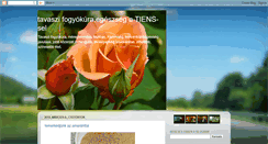 Desktop Screenshot of fogyjonatiens-sel.blogspot.com