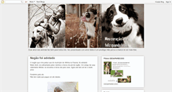Desktop Screenshot of coracao-vira-lata.blogspot.com