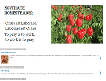 Tablet Screenshot of novitiatehomesteader.blogspot.com