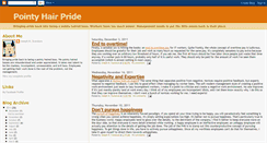 Desktop Screenshot of pointyhairpride.blogspot.com