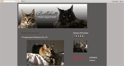 Desktop Screenshot of brollekatts.blogspot.com