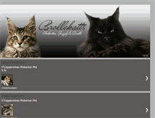 Tablet Screenshot of brollekatts.blogspot.com