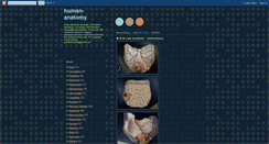 Desktop Screenshot of humananatomyclass.blogspot.com