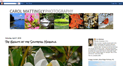 Desktop Screenshot of carolmattinglyphotography.blogspot.com