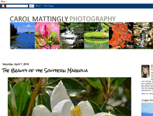Tablet Screenshot of carolmattinglyphotography.blogspot.com