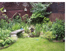 Tablet Screenshot of ladyloulees-wildlife-garden.blogspot.com