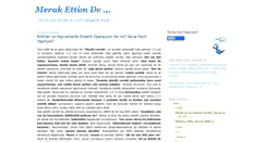 Desktop Screenshot of merakettimde.blogspot.com