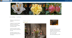 Desktop Screenshot of catsfotoblogg.blogspot.com