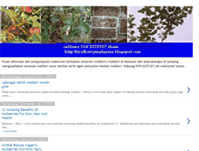 Tablet Screenshot of mulberrymalaysia.blogspot.com