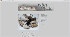 Desktop Screenshot of droles-de-billes.blogspot.com