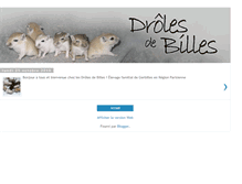 Tablet Screenshot of droles-de-billes.blogspot.com