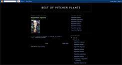 Desktop Screenshot of bestofpitcherplants.blogspot.com