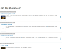 Tablet Screenshot of candogphotoblog.blogspot.com