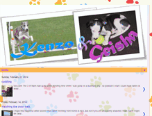 Tablet Screenshot of kenzogeisha.blogspot.com