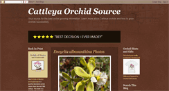 Desktop Screenshot of cattleyaorchidsource.blogspot.com