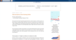 Desktop Screenshot of breastfeeding-thejouney.blogspot.com