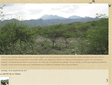 Tablet Screenshot of bosquesecokoskef.blogspot.com