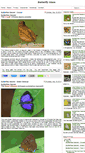 Mobile Screenshot of butterflymuse.blogspot.com