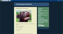 Desktop Screenshot of funny-dog-and-cat-pictures.blogspot.com