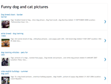 Tablet Screenshot of funny-dog-and-cat-pictures.blogspot.com