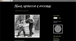 Desktop Screenshot of mulosetaccioepiccone.blogspot.com