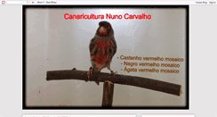 Desktop Screenshot of canariculturanunocarvalho.blogspot.com