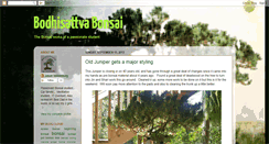 Desktop Screenshot of bodhibonsai.blogspot.com