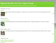 Tablet Screenshot of naturalworlds.blogspot.com