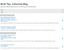 Tablet Screenshot of birdstipscollectionblog.blogspot.com